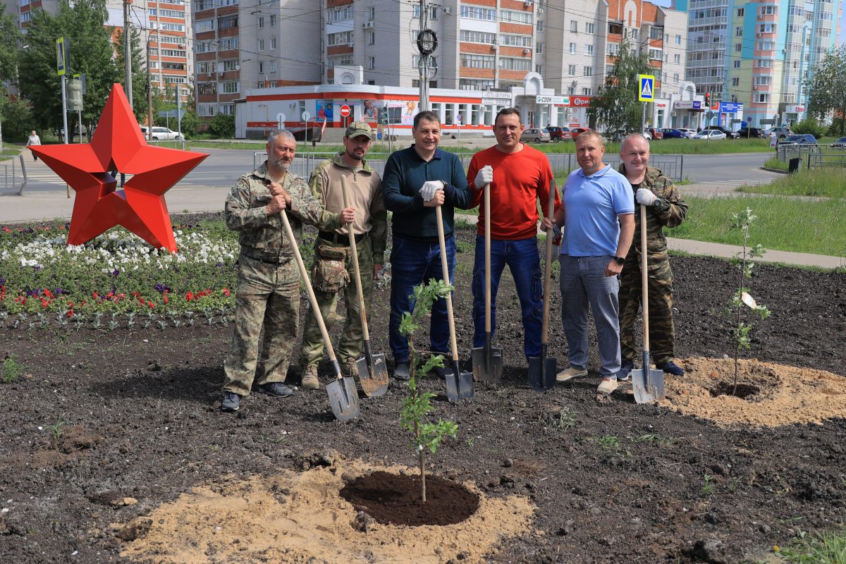 Яблоневый сад появился у Госпиталя ветеранов войн в Дзержинске