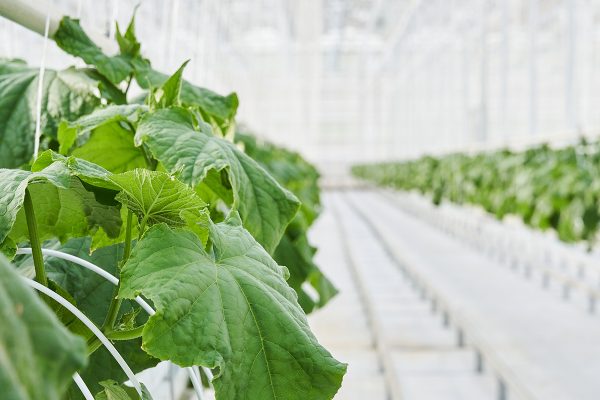 ГК «РОСТ»: почему так важно быть открытым к&nbsp;людям?