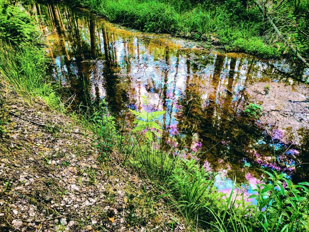 В минэкологии региона подтвердили факт выброса сточных вод в реку в поселке Пыра