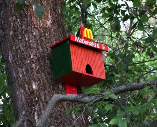 «Макдоналдс» для птиц: в Александровском саду появился новый стрит-арт