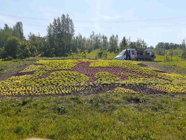 Олень из 15 тысяч цветов появился на улице Ларина в Нижнем Новгороде