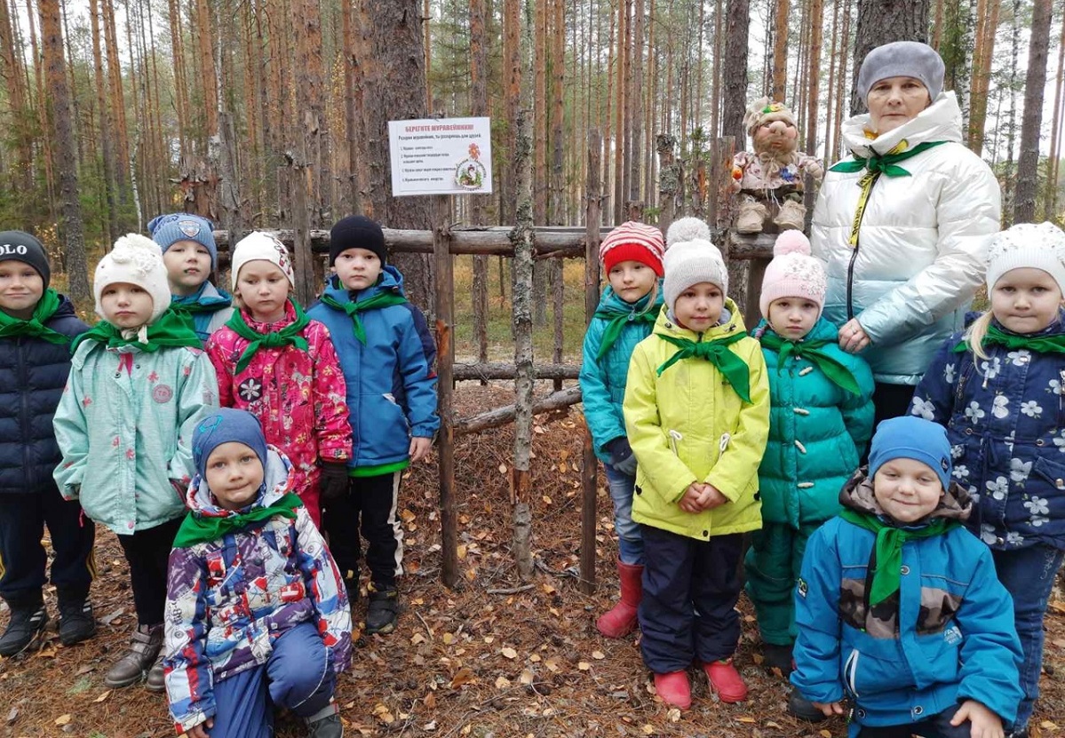 Воспитанники первого дошкольного лесничества «Лесовичок» изучают лесные муравейники