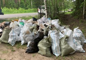 В&nbsp;Нижегородской области на&nbsp;землях лесного фонда в&nbsp;этом году ликвидировано 39 несанкционированных свалок