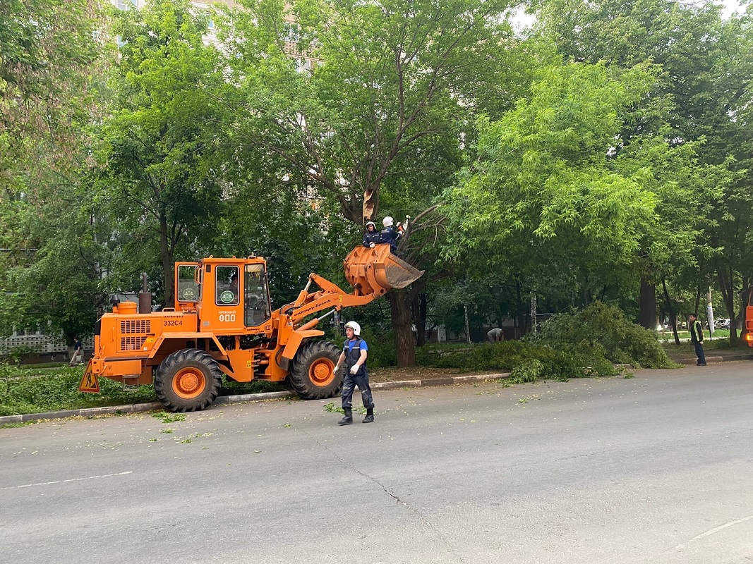 Обрушившиеся на машину ветки дерева на улице Максима Горького начали спиливать