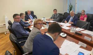 Идет подготовка закона о введении системообразующих территориальных сетевых организаций