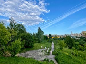 Касьяновский овраг в Нижнем Новгороде благоустроят в 2023&nbsp;году