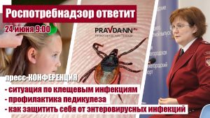 Эксперт нижегородского Роспотребнадзора расскажет, как уберечь себя от клещей и&nbsp;вшей