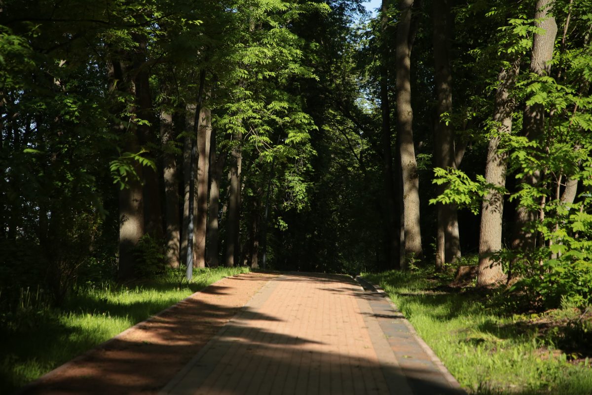 Парк «Швейцария» в Нижнем Новгороде закроют для посещения 26 июля