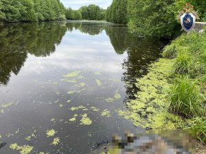 Следователи расследуют обстоятельства гибели пятилетнего ребенка в Борском районе