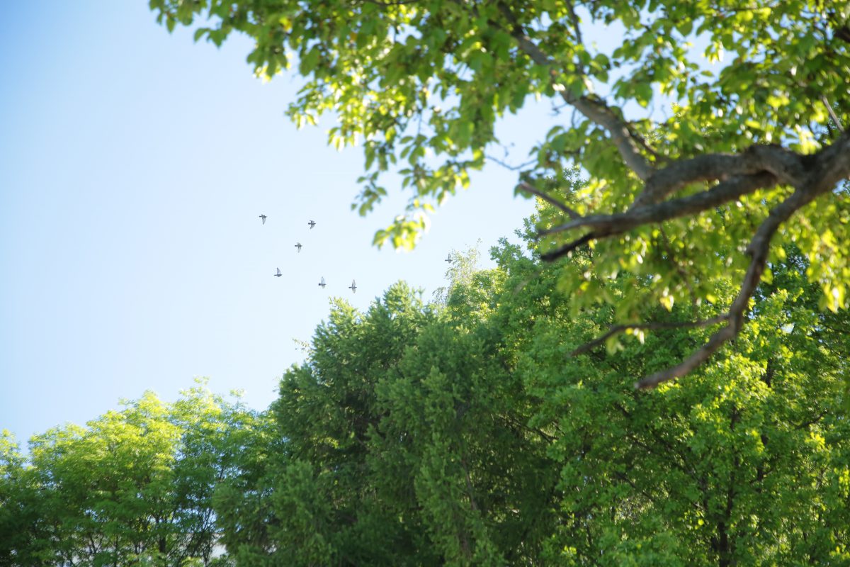 Приметы на 18 июня: что можно и чего нельзя делать в этот день