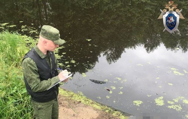 Нижегородская прокуратура проведет проверку по факту гибели пятилетнего мальчика в Борском районе
