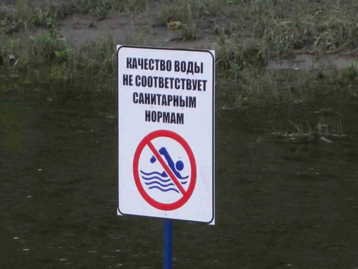 Озеро Светлоярское признали непригодным для купания