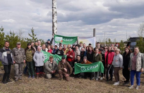 Более 4 тысяч га леса посадили волонтёры Волго-Вятского банка Сбербанка во время весенних посадок