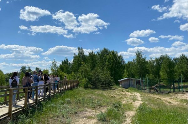 В Нижегородской области появится первое дошкольное лесничество