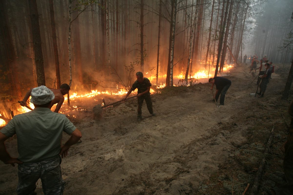 110 гектаров леса горят в Воротынском районе