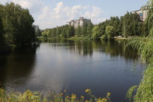 В Богородском районе утонул ребенок