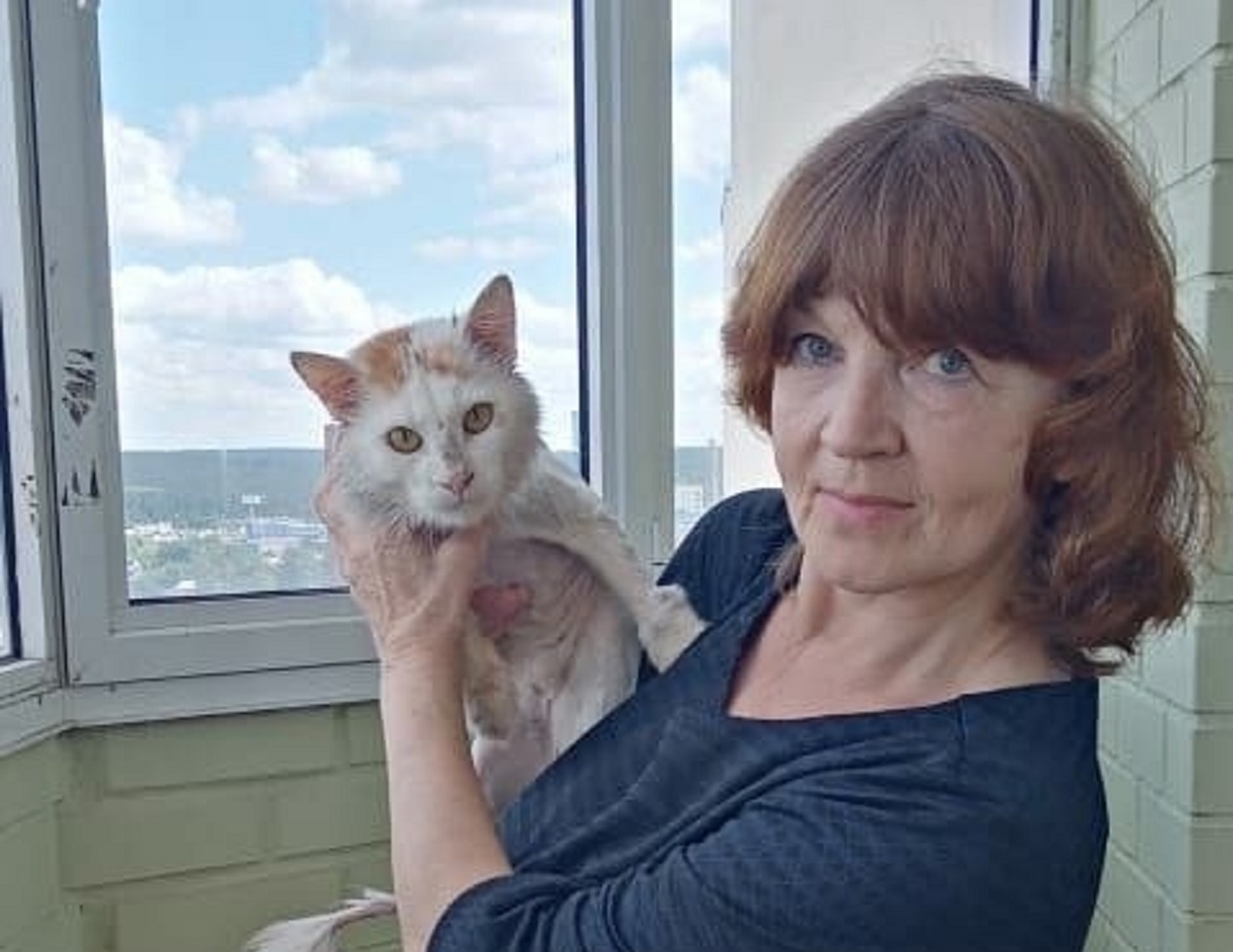 Зооволонтёры рассказали, как нижегородцы могут приютить кошек из Мариуполя