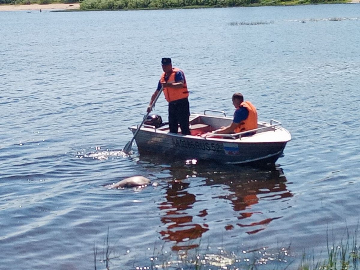 Мужчина утонул в Оке в Дзержинске
