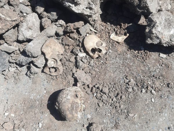 Черепа и кости обнаружили при прокладке водопровода в Большом Мурашкине