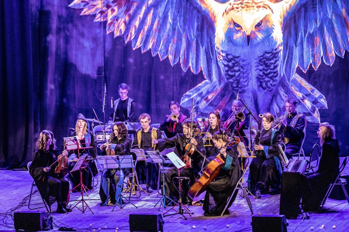 Концерт камерного оркестра с программой «Гарри Поттер» состоится в Нижнем Новгороде 30 августа