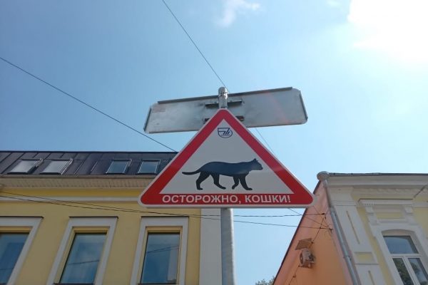 Знак «Осторожно, кошки» установили на улице Рождественской