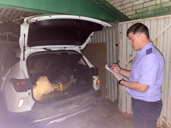 Пьяный водитель, насмерть сбивший подростка на Бору, задержан