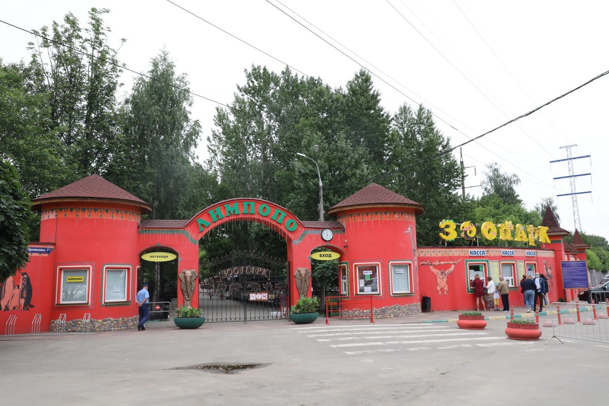 Нижегородский зоопарк «Лимпопо» отпразднует свой День рождения 31 июля