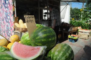 Эксперты рассказали, как арбуз и дыня влияют на человека