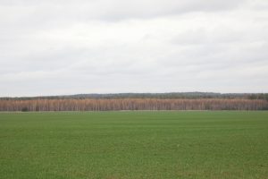 Новая 15-километровая экотропа появится в Нижегородской области