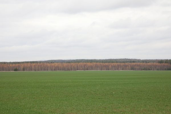 Новая 15-километровая экотропа появится в Нижегородской области