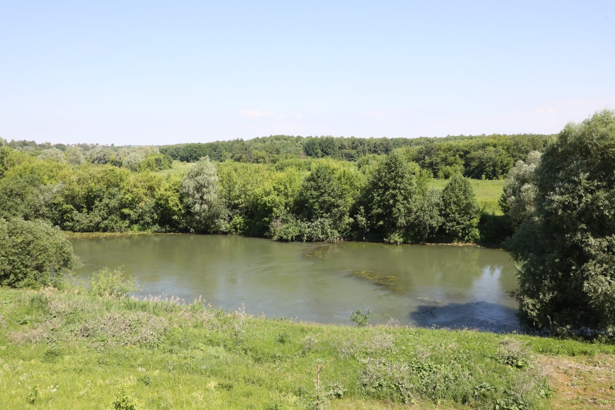 34-летний мужчина утонул в реке Троца в Чкаловске