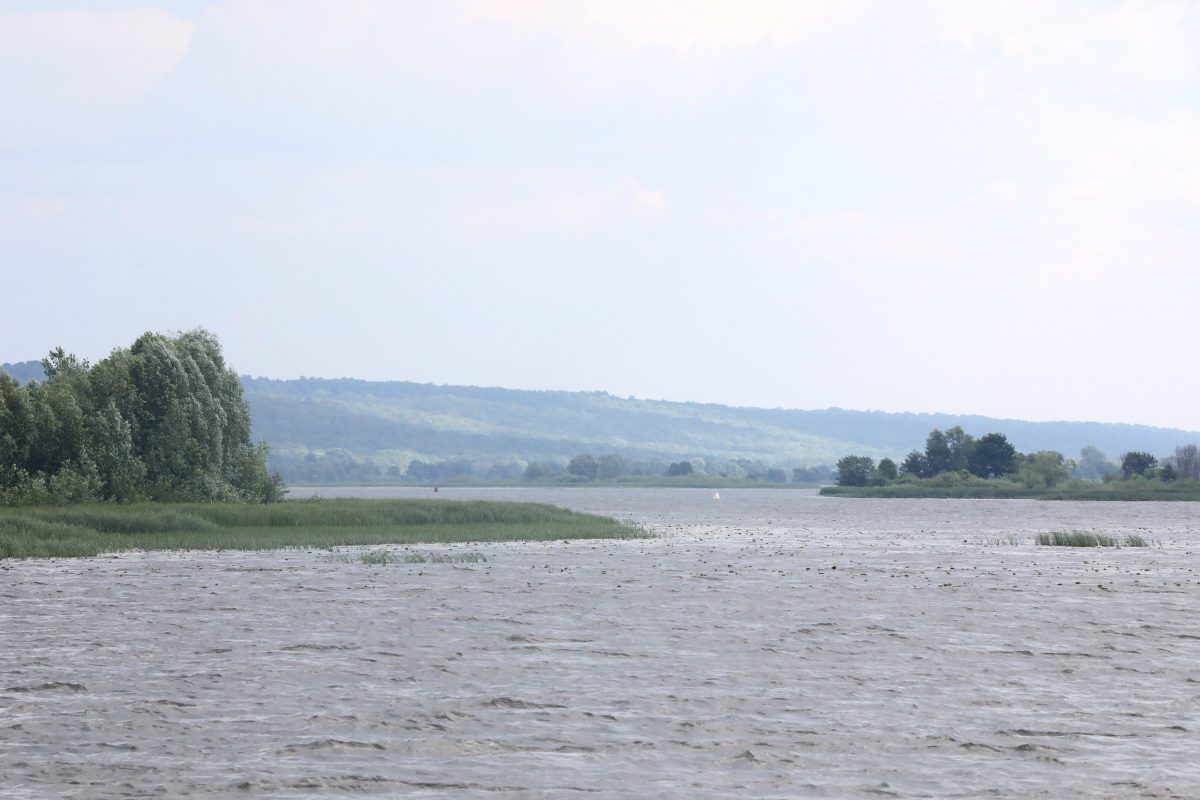С начала купального сезона в Нижегородской области утонули 26 человек