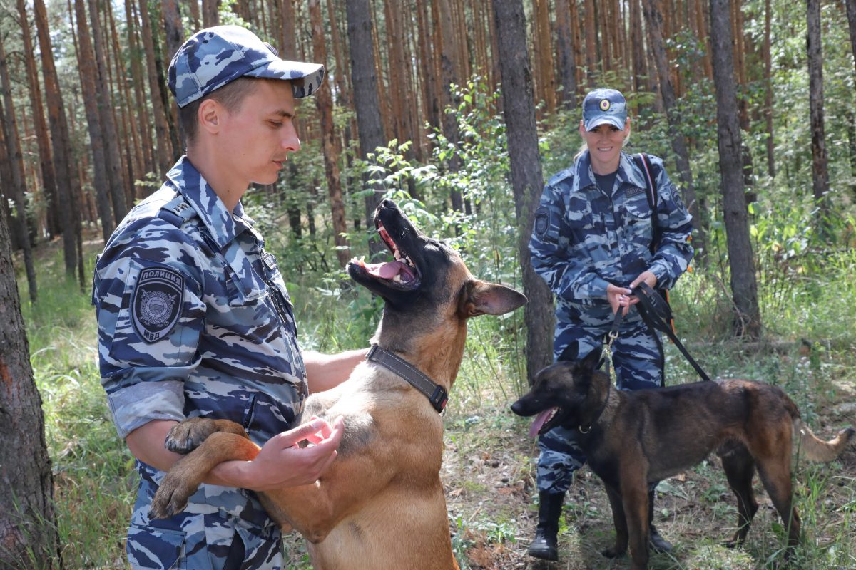 Потому что у меня лапы! Опубликованы фото соревнований служебных собак в Нижнем Новгороде