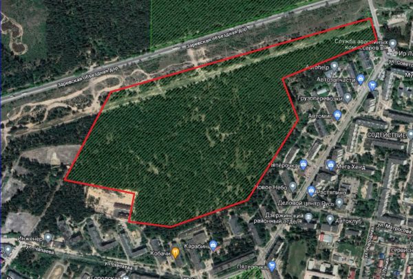 В Дзержинске стартуют обсуждения благоустройства лесного массива вдоль улицы Молодежной