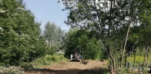 Памп-трек и теннисные столы появятся в сквере у стадиона «Радий» в Приокском районе