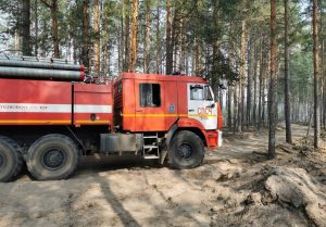 Площадь пожара в Воротынском районе за сутки сократилась ещё на 9 га