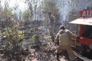 В&nbsp;Нижегородскую область прибудут пожарные-десантники из&nbsp;Иркутска