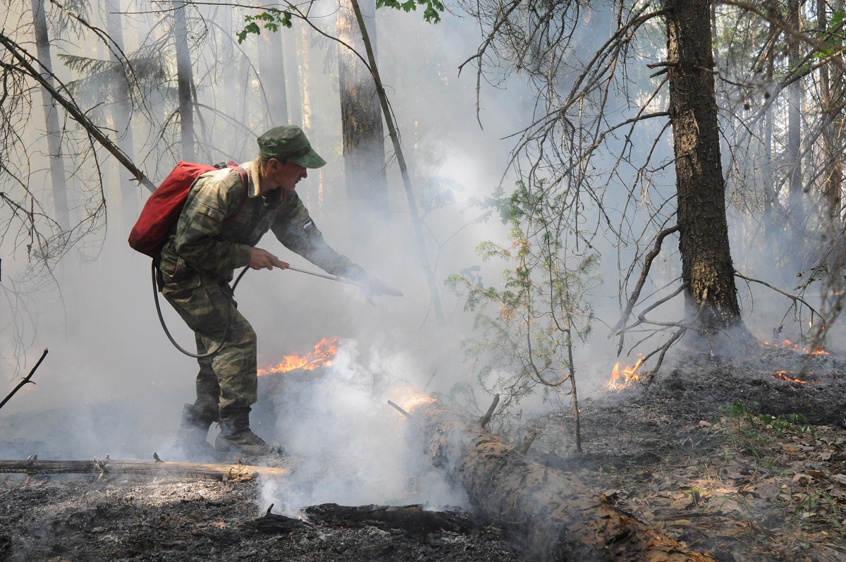 Площадь активного горения леса в Воротынском районе сократилась в четыре раза