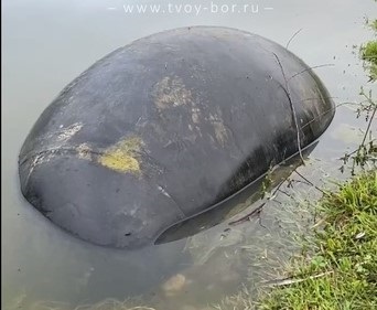 Черное «яйцо динозавра» появилось в Мухинском озере в городе Бор после благоустройства