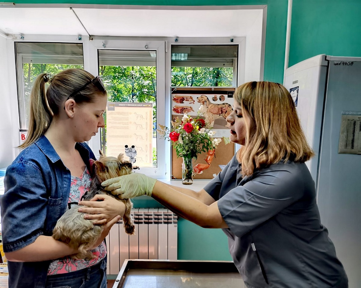 Четвертый государственный ветеринарный кабинет начал работать в Нижнем Новгороде