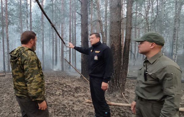 Огненный фронт: на борьбу с лесным пожаром в Воротынском районе брошены все силы