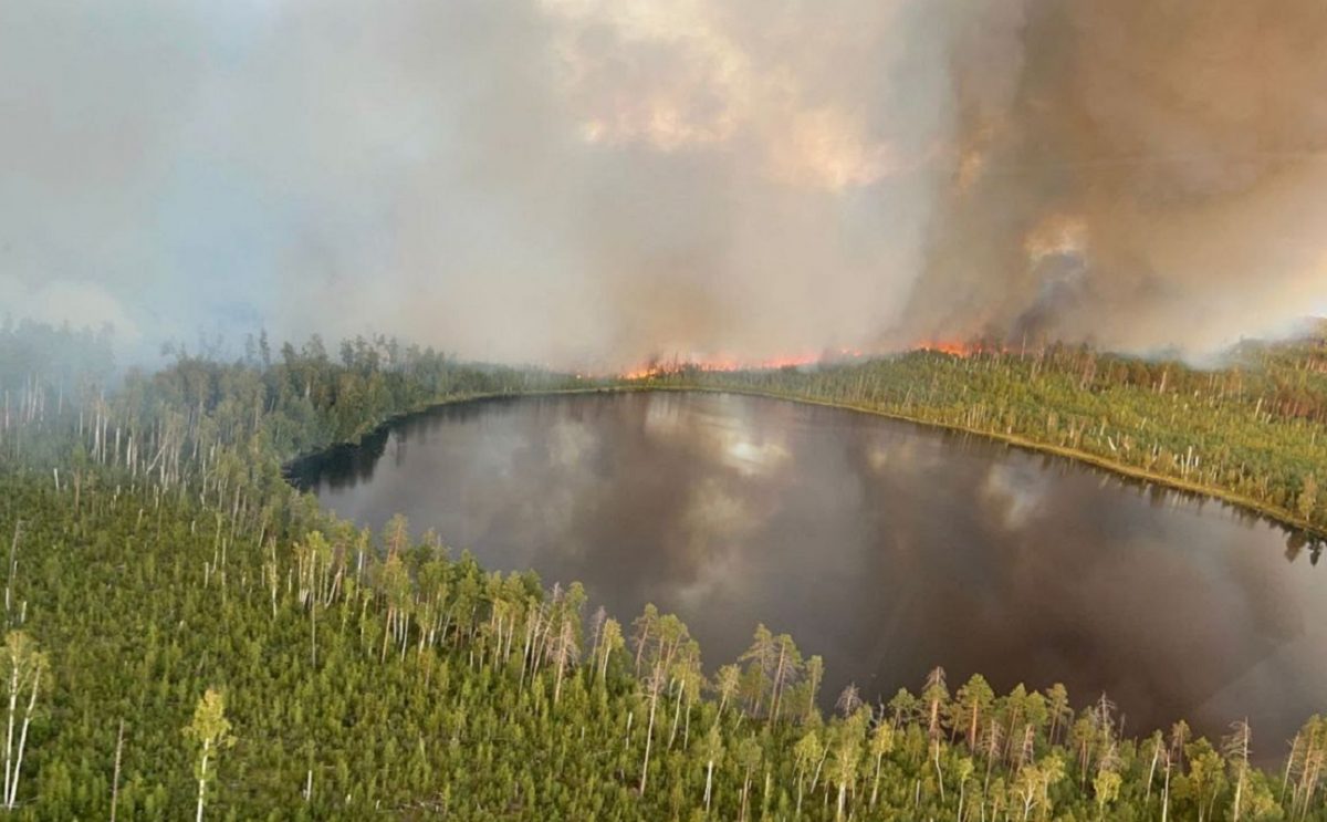 Площадь лесного пожара в Воротынском районе превысила 5 тысяч гектаров