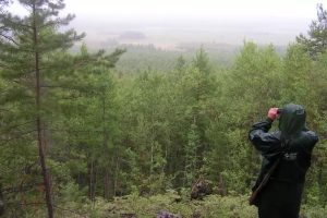 Ученые Мининского университета отправятся в экспедицию к месту падения Тунгусского метеорита