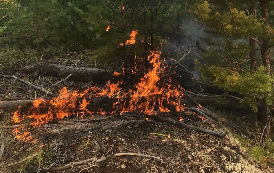 Лесной пожар из Нижегородской области распространился на территорию Республики Марий Эл