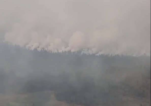 Площадь лесного пожара в Воротынском районе увеличилась до 2800 гектаров