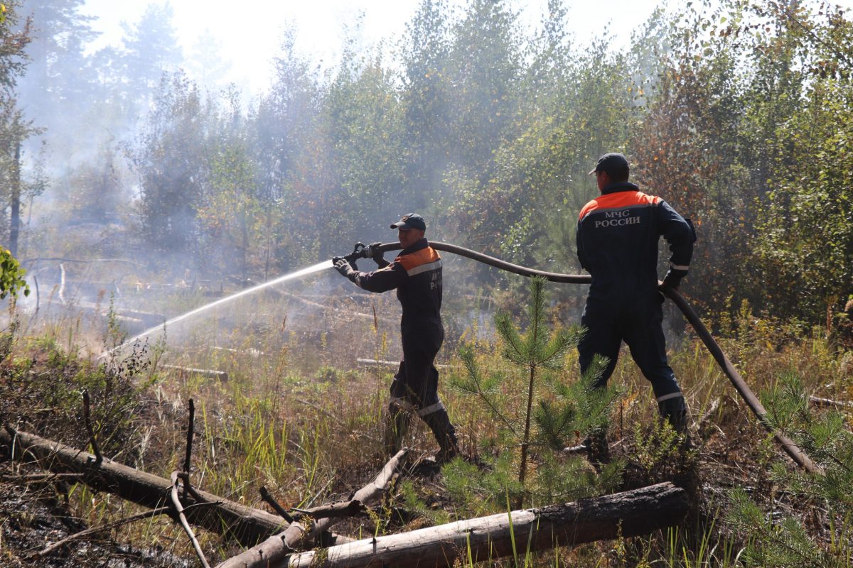 Почти 900 человек тушат лесной пожар в Воротынском районе