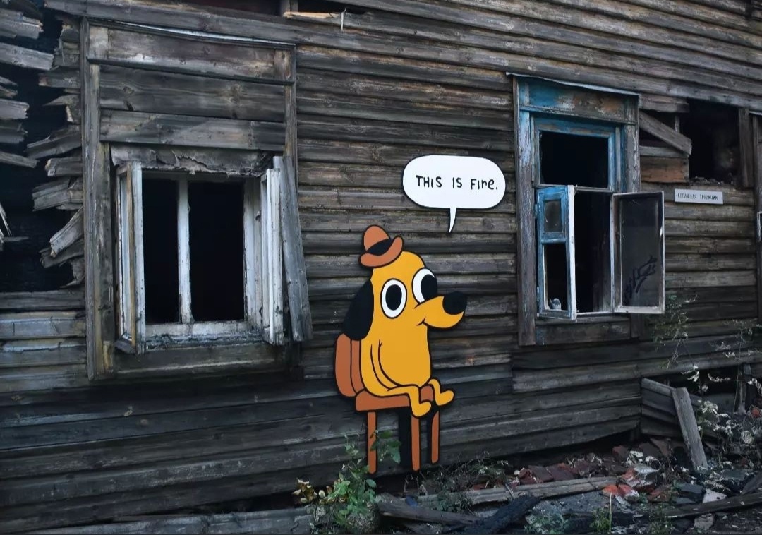 На сгоревшем доме в Нижнем Новгороде появился мем про собаку в огне
