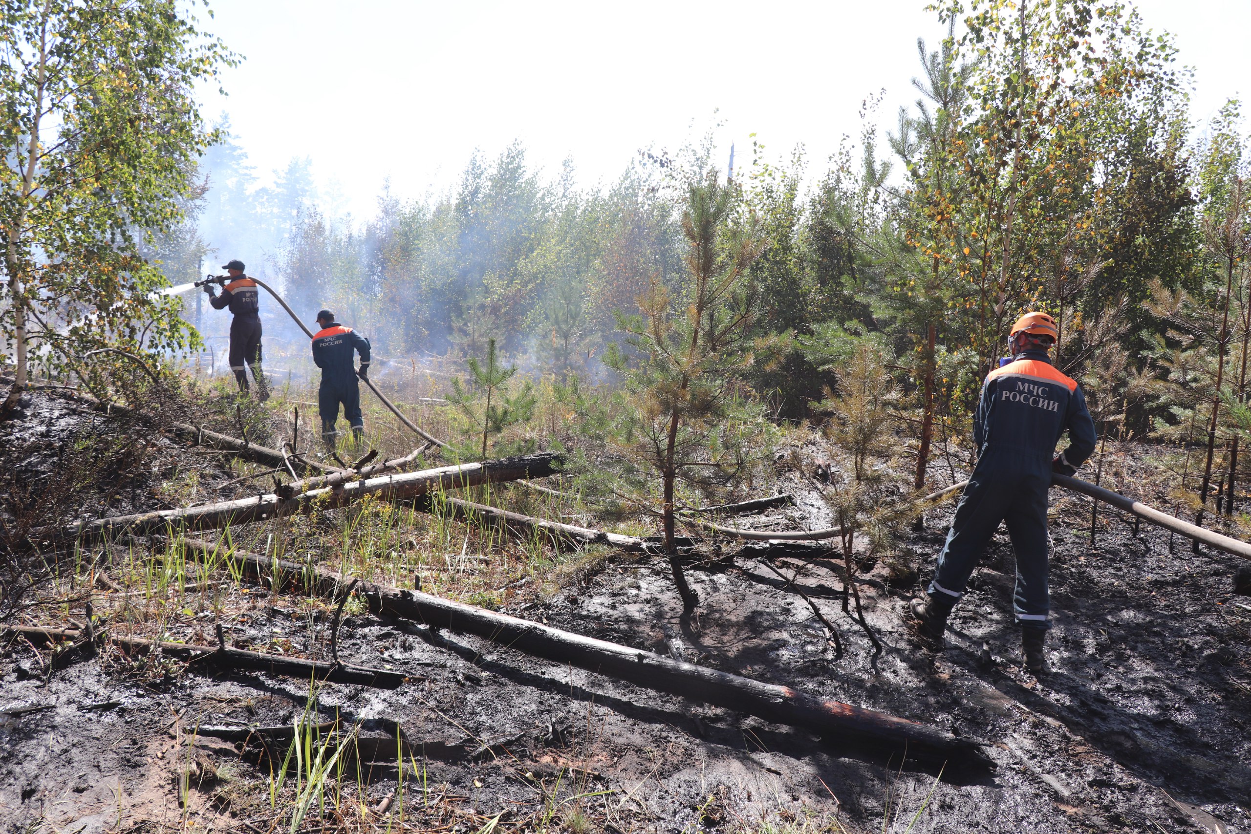Площадь лесного пожара в Воротынском районе увеличилась до 6100 гектаров