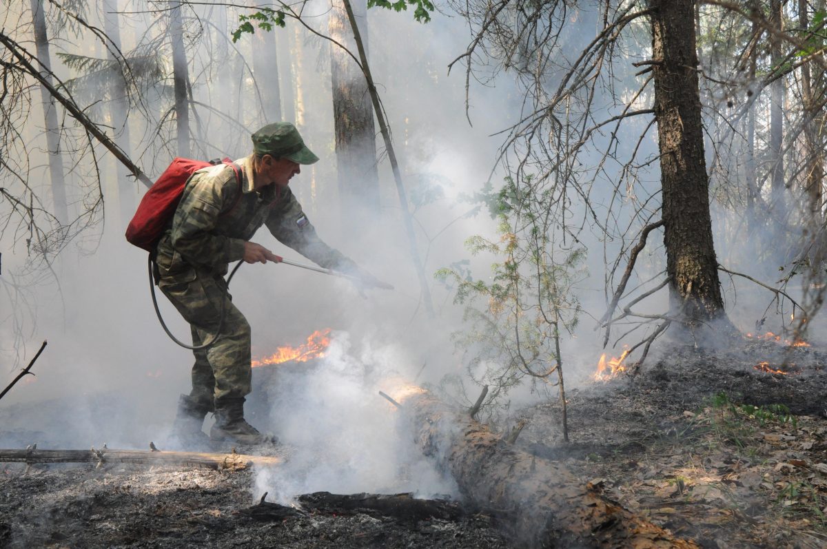 166 человек тушат лесной пожар в Воротынском районе площадью 2890 га