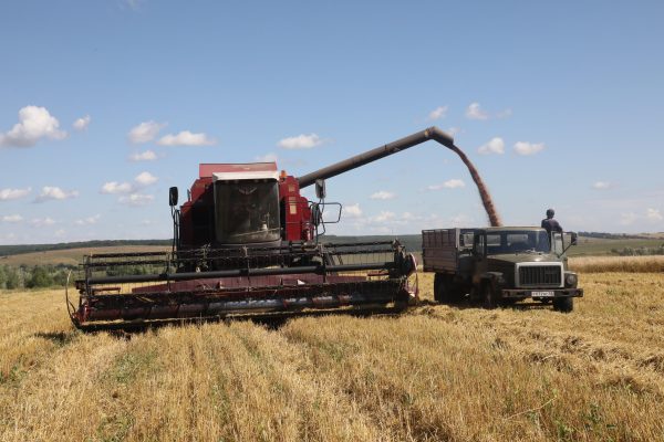 Льготные кредиты и резерв запчастей: нижегородские аграрии собирают урожай в условиях санкций